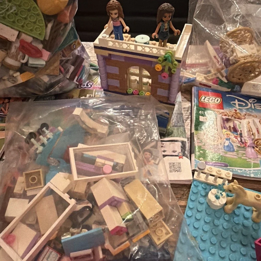 LEGO Friends Mini Dolls Animals Accessories Plane Van Manual Disney Sets Parts